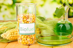 Sykes biofuel availability